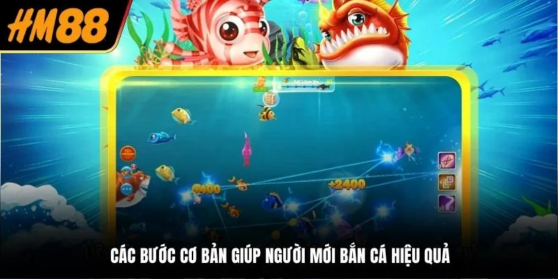 Các bước cơ bản giúp người mới săn cá hiệu quả